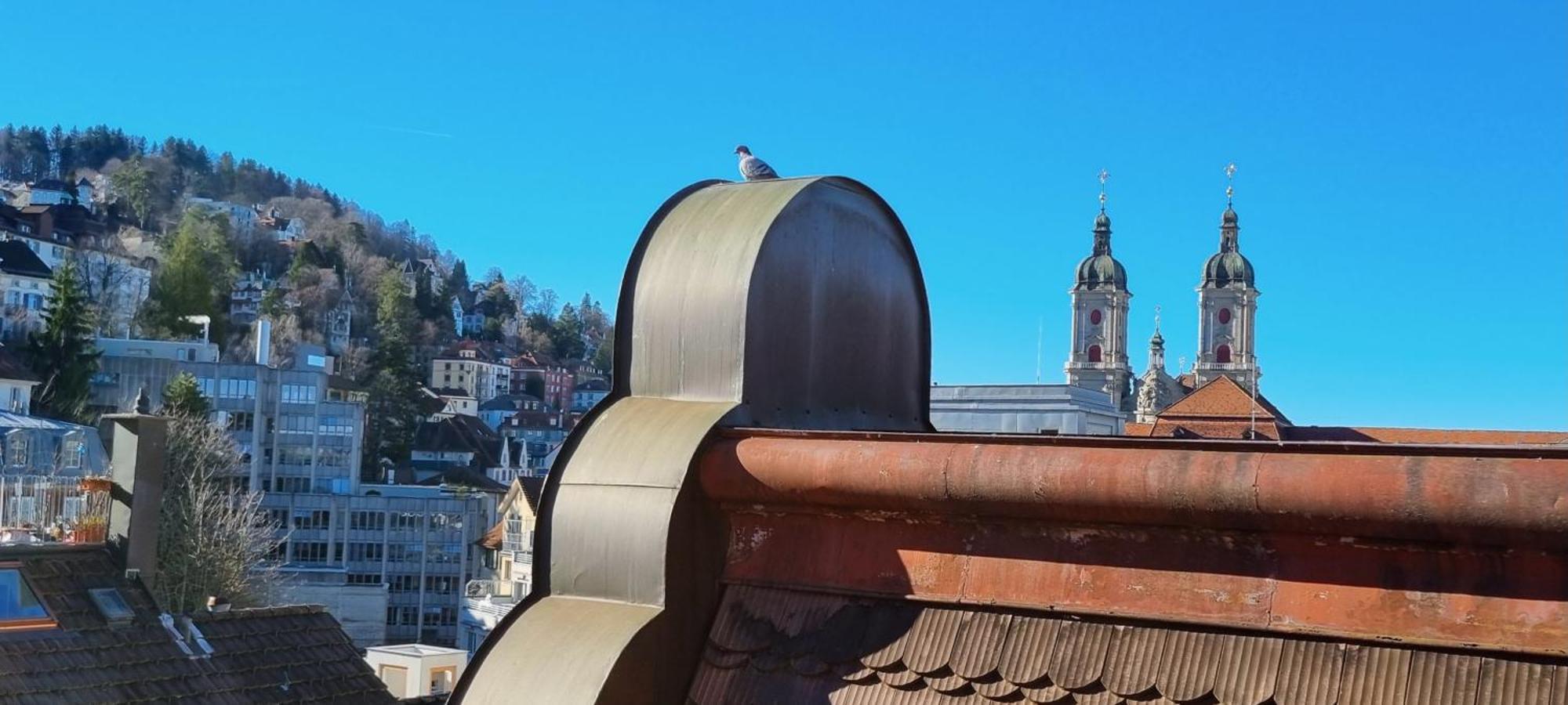 Ruhige, Neue Dachwohnung An Altstadt, Naehe Messe 세인트갈렌 외부 사진